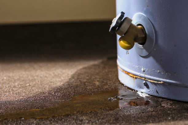 Best Flooded house restoration  in Colmar Manor, MD