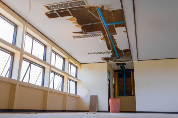 Best 24/7 water damage repair  in Colmar Manor, MD