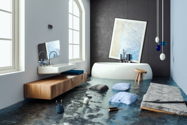 Best Basement water damage restoration  in Colmar Manor, MD