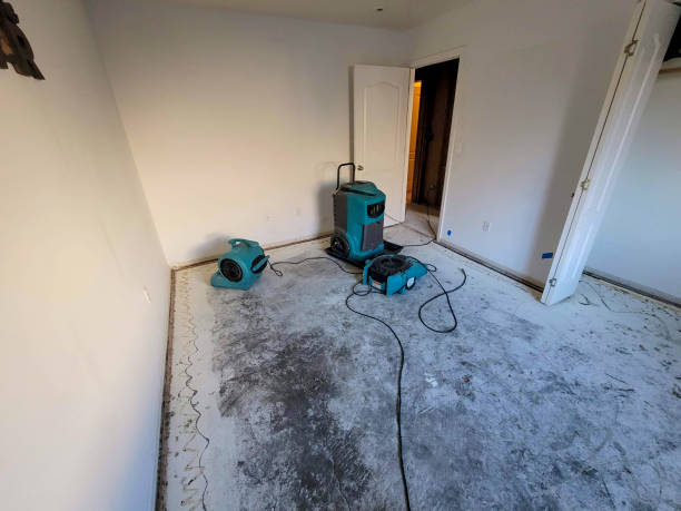Best Sewage cleanup and water damage restoration  in Colmar Manor, MD