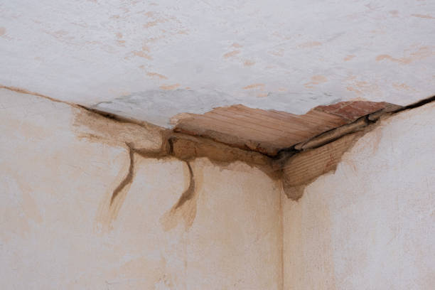 Best Water damage restoration near me  in Colmar Manor, MD