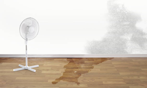 Reliable Colmar Manor, MD Water damage restoration Solutions