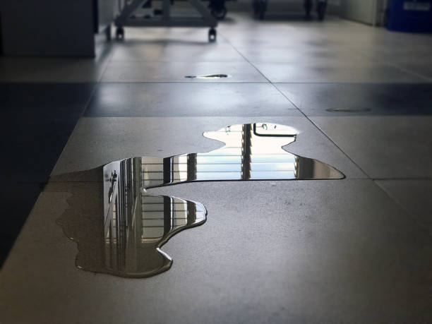 Best Water damage restoration near me  in Colmar Manor, MD