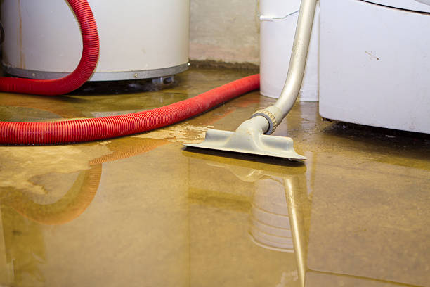 Best Fire Damage Restoration  in Colmar Manor, MD