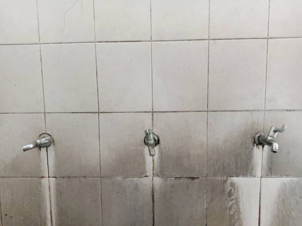 Best Commercial water damage restoration  in Colmar Manor, MD