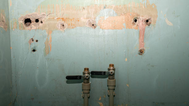 Best 24-hour water damage restoration  in Colmar Manor, MD