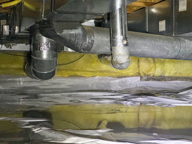 Best Flood restoration services  in Colmar Manor, MD