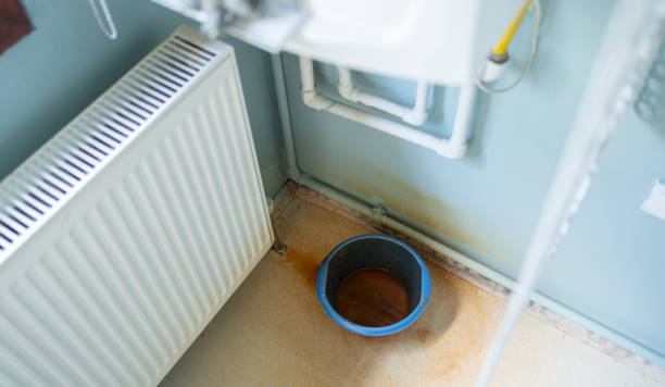 Best Water damage contractors near me  in Colmar Manor, MD