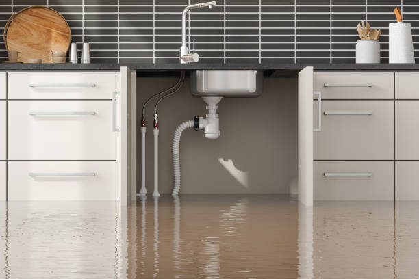Best Professional water damage repair  in Colmar Manor, MD